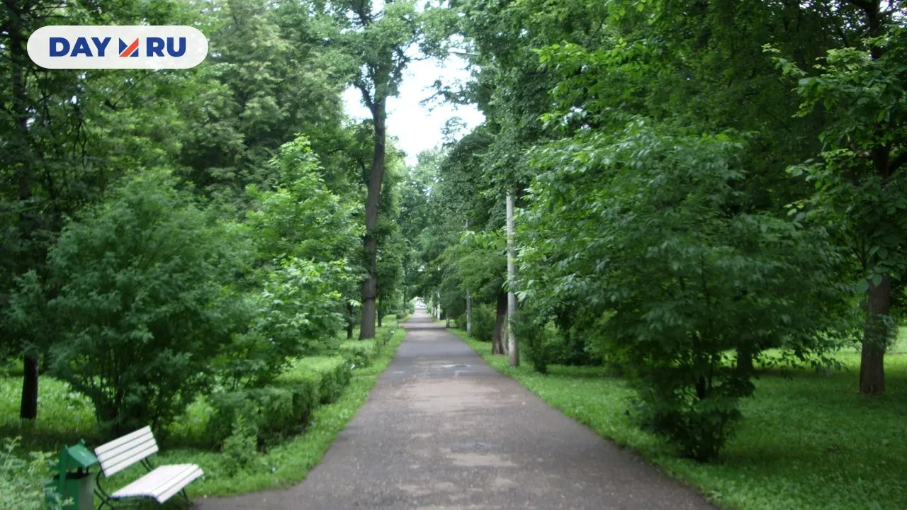 Центральная аллея парка