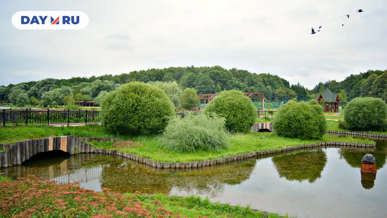Пруды в Терлецком парке