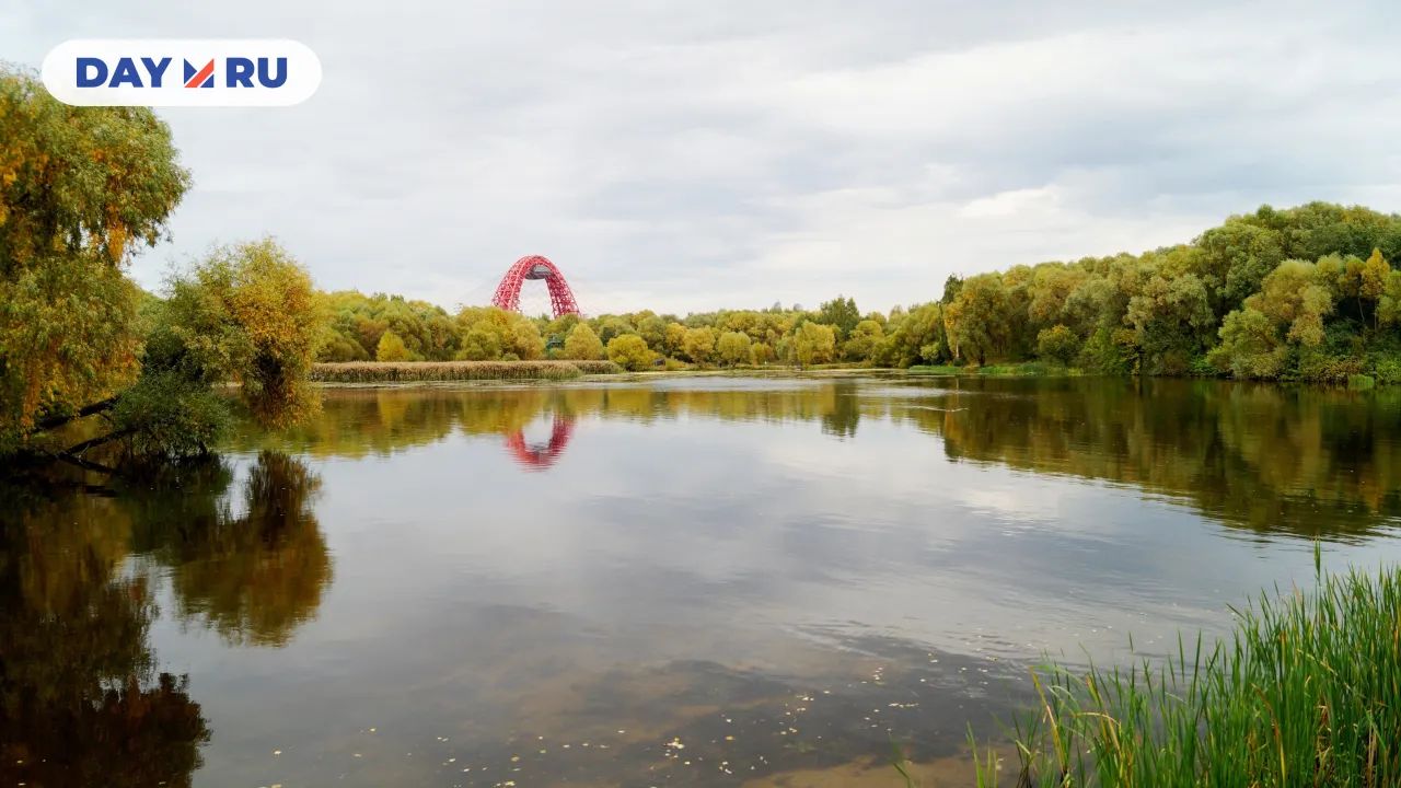 Серебряный Бор