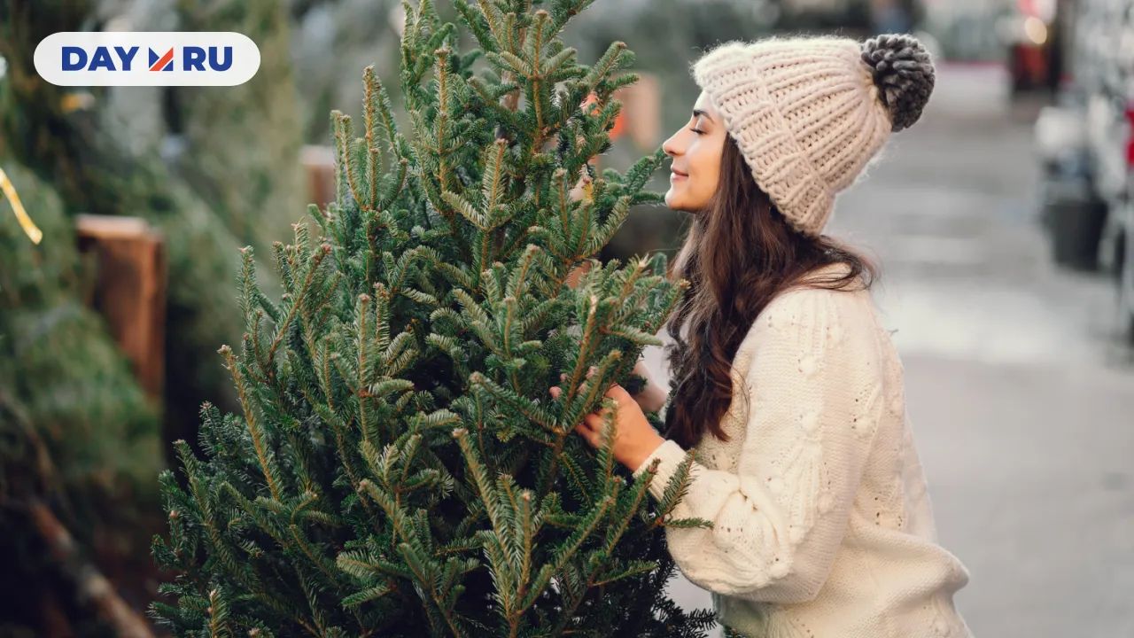 Елка, Новый год