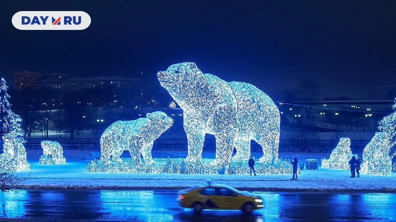 Полярные медведи