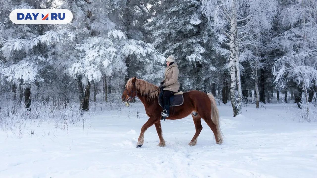 Конная прогулка