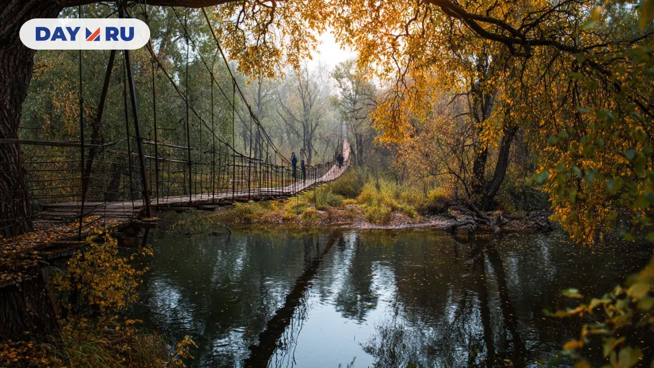 Подвесной мост