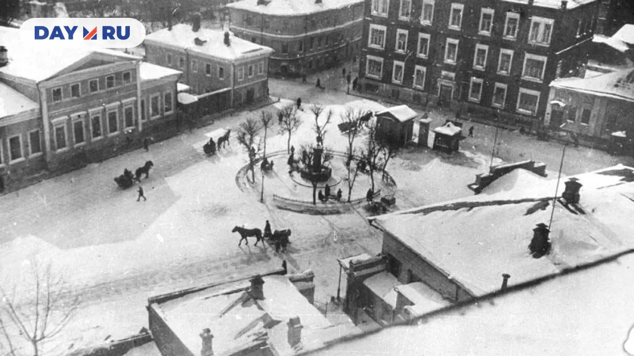 Собачья площадка