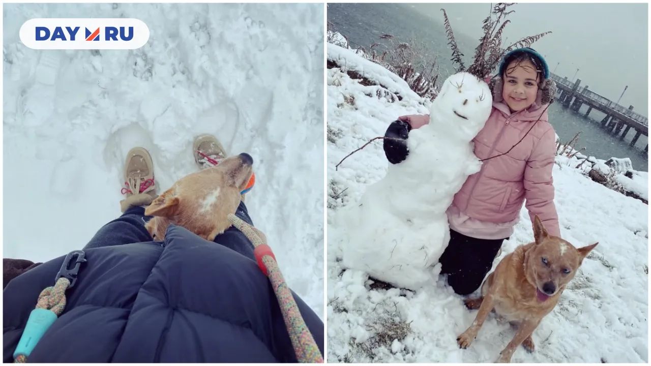 Дочь Ольги Шелест