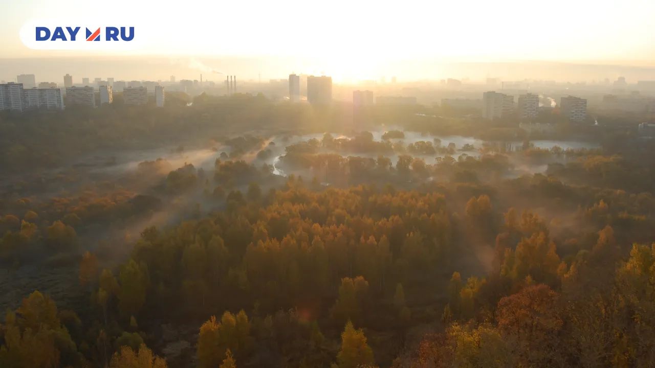 Сходненская чаша