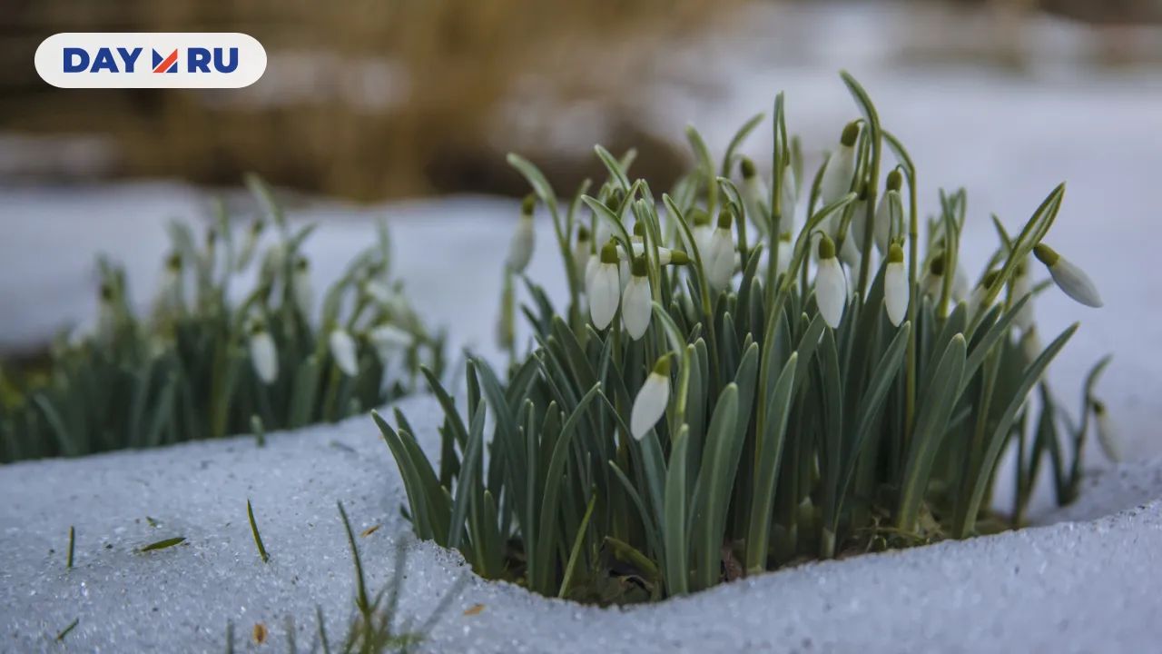 Ранняя весна