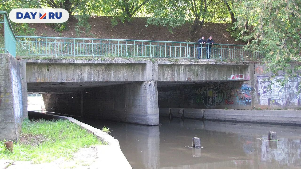 Медведковский метромост