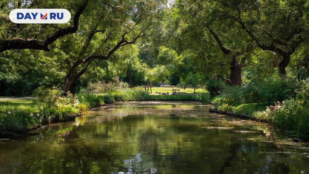 Пруд в парке