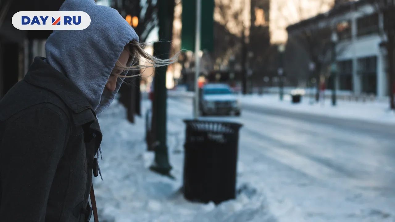 Зима, метель