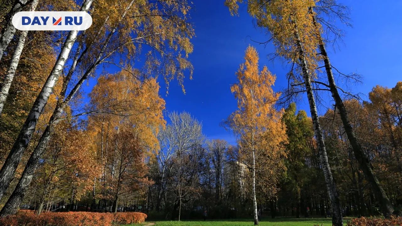 Парк Сокольники