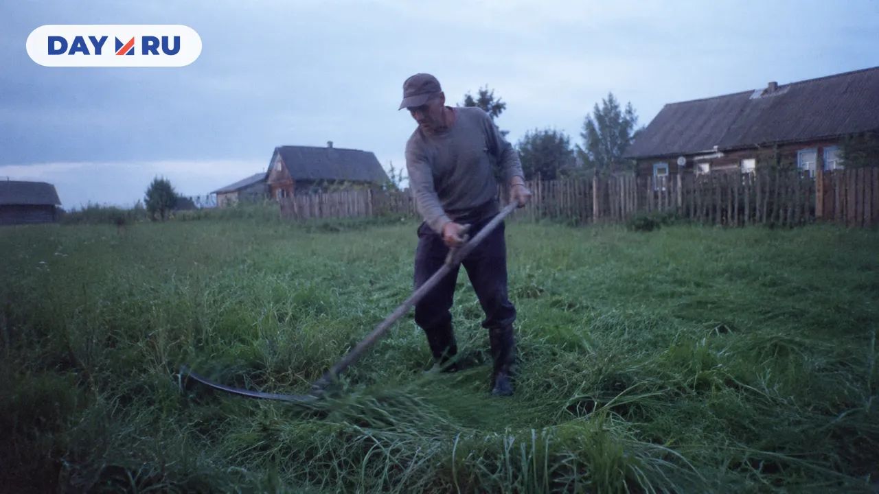 Покос