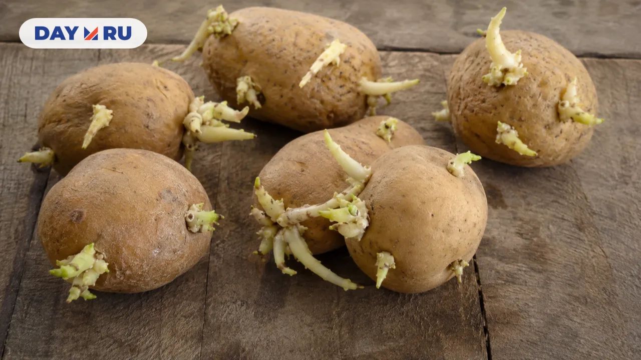 Картофель