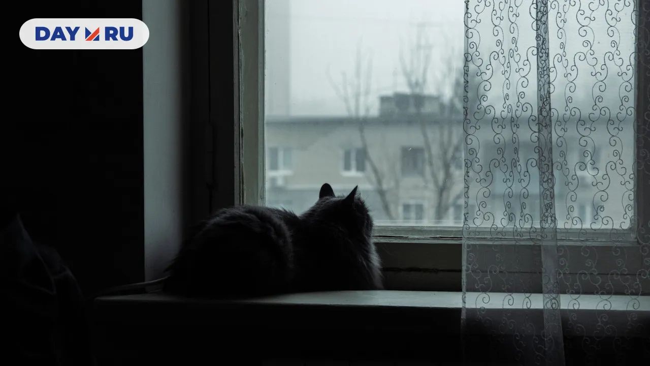Окно
