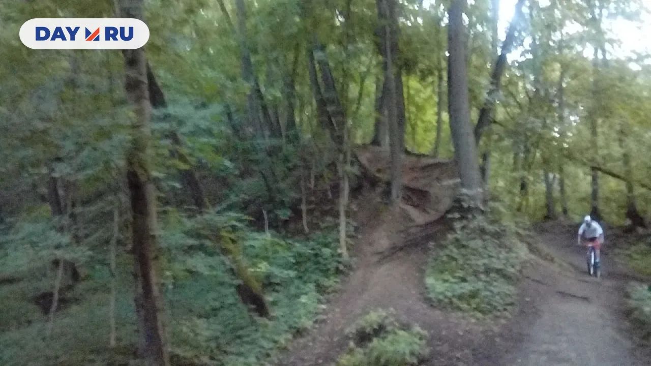 Кунцевское городище
