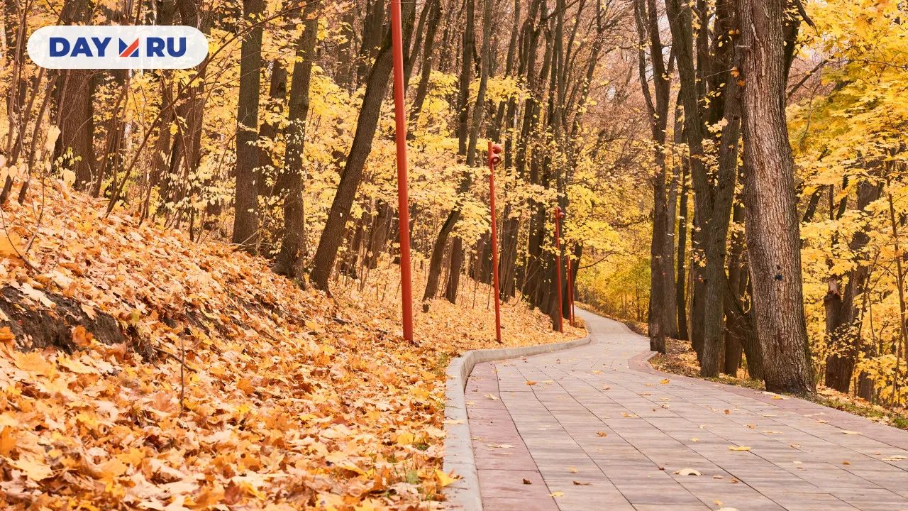 Осень