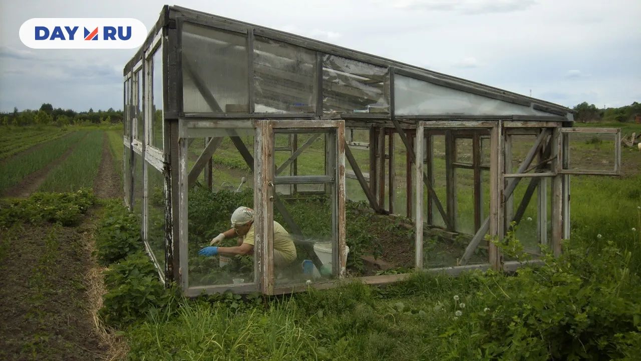 Дача, огород