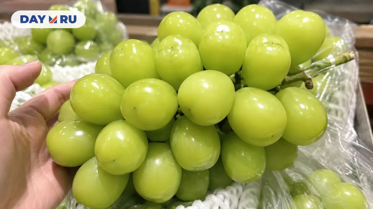 Шайн Мускат