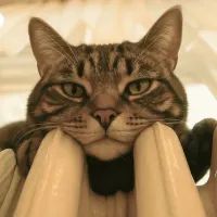 Новомосквичи массово скупают обогреватели