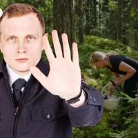 По ягоды в рамках закона