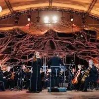 Фестиваль Чайковского