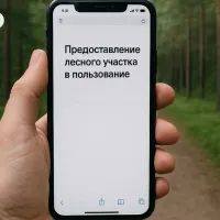 Аренда леса