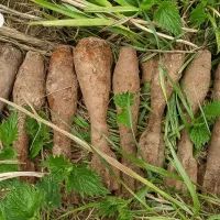 Боеприпасы