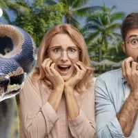 боятся змей