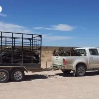 Автомобиль с прицепом