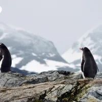 Антарктида