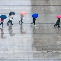 Дождливая погода