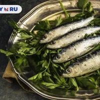 Сардины
