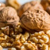 Грецкий орех