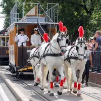 Парад ретротрамваев