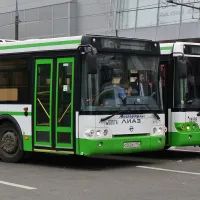 Автобусы