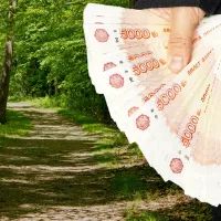 Тропинка в лесу