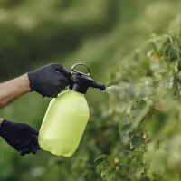 Опрыскивание растений