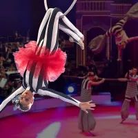 Фестиваль воздушных гимнастов «Трапеция»