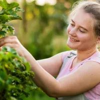 девушка со смородиной