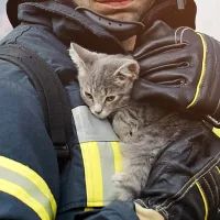 Пожарный с котом