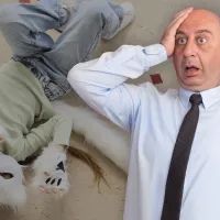 Квадробер