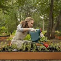 огородница 