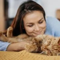 кошка хозяева