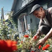 Работы в саду