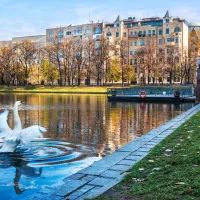 Лебеди на Патриарших прудах