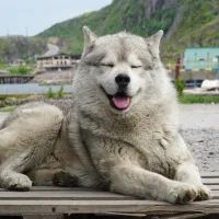 Окрестности Териберки