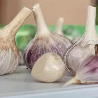 Чеснок