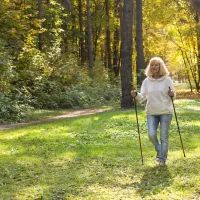 Лесная прогулка