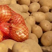 Лук и картофель