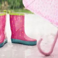 Дождливая погода